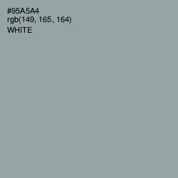 #95A5A4 - Pewter Color Image