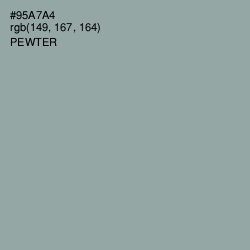 #95A7A4 - Pewter Color Image