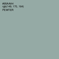 #95AAA4 - Pewter Color Image