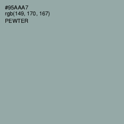 #95AAA7 - Pewter Color Image