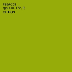 #95AC09 - Citron Color Image