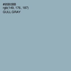 #95B0BB - Gull Gray Color Image