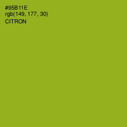 #95B11E - Citron Color Image