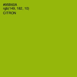 #95B60A - Citron Color Image