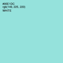 #95E1DC - Riptide Color Image