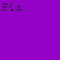 #9601C7 - Electric Violet Color Image