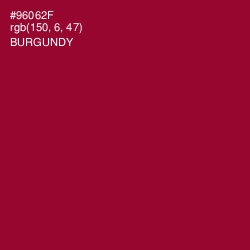 #96062F - Burgundy Color Image