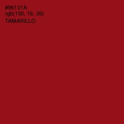 #96101A - Tamarillo Color Image