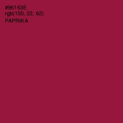 #96163E - Paprika Color Image