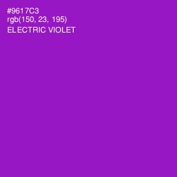 #9617C3 - Electric Violet Color Image