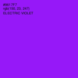 #9617F7 - Electric Violet Color Image