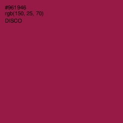 #961946 - Disco Color Image