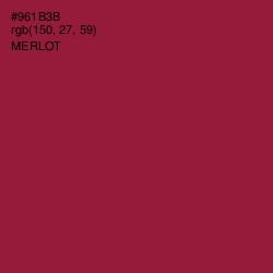 #961B3B - Merlot Color Image