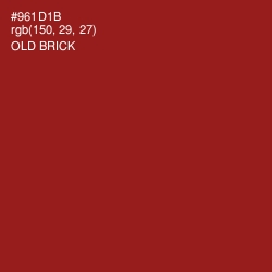 #961D1B - Old Brick Color Image