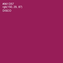 #961D57 - Disco Color Image