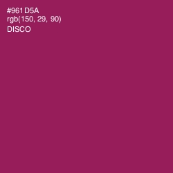 #961D5A - Disco Color Image