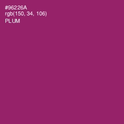 #96226A - Plum Color Image