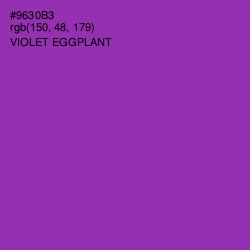 #9630B3 - Violet Eggplant Color Image