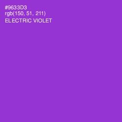 #9633D3 - Electric Violet Color Image