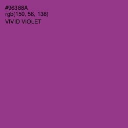 #96388A - Vivid Violet Color Image