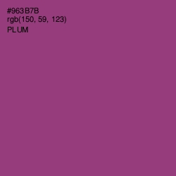 #963B7B - Plum Color Image