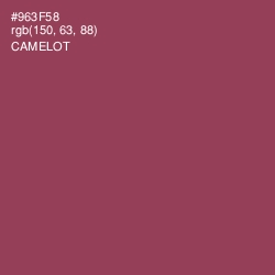 #963F58 - Camelot Color Image
