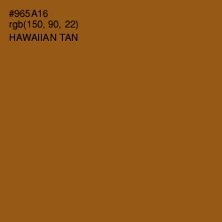 #965A16 - Hawaiian Tan Color Image