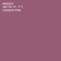 #965B75 - Cannon Pink Color Image