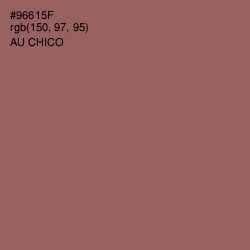 #96615F - Au Chico Color Image