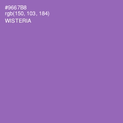 #9667B8 - Wisteria Color Image