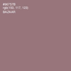 #96757B - Bazaar Color Image