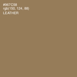 #967C58 - Leather Color Image