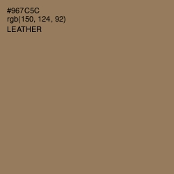 #967C5C - Leather Color Image