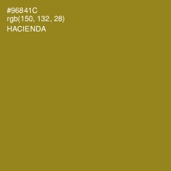 #96841C - Hacienda Color Image