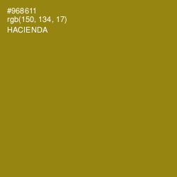 #968611 - Hacienda Color Image