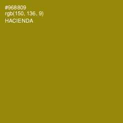 #968809 - Hacienda Color Image