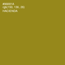 #96881A - Hacienda Color Image