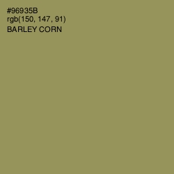 #96935B - Barley Corn Color Image