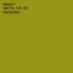 #969517 - Hacienda Color Image