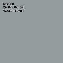 #969B9B - Mountain Mist Color Image