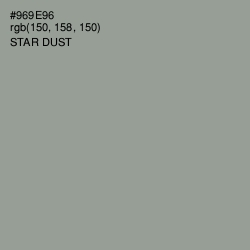 #969E96 - Star Dust Color Image