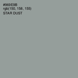 #969E9B - Star Dust Color Image