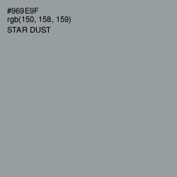 #969E9F - Star Dust Color Image