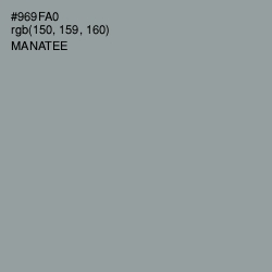 #969FA0 - Manatee Color Image