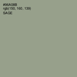 #96A08B - Sage Color Image