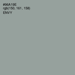 #96A19E - Envy Color Image
