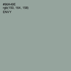 #96A49E - Envy Color Image