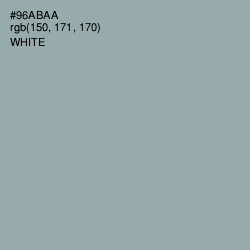 #96ABAA - Pewter Color Image