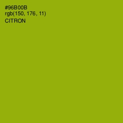 #96B00B - Citron Color Image