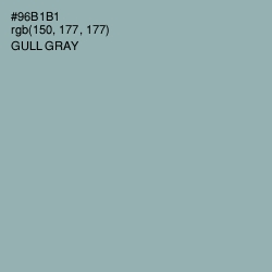 #96B1B1 - Gull Gray Color Image